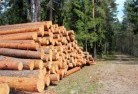 Cedar Pockettree-felling-services-31.jpg; ?>